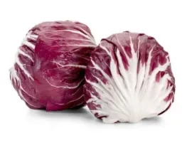 Radicchio tondo Biologico