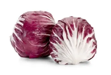 Radicchio tondo Biologico