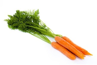 Carote Novelle Biologiche