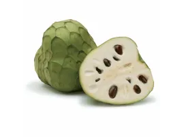 Annona siciliana biologica