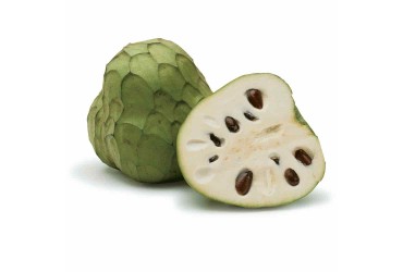 Annona siciliana biologica