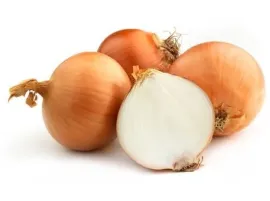 Cipolla dorata Biologica