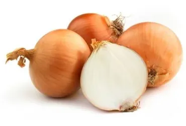 Cipolla dorata Biologica