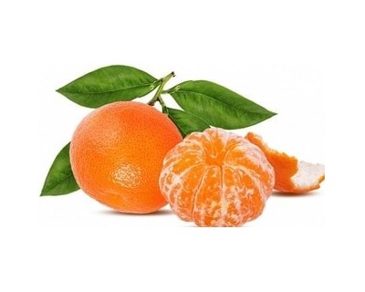 mandarini biologici vendita online