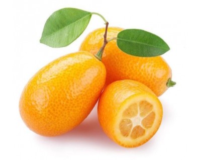 Kumquat Biologico