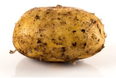 Patata novella Biologico