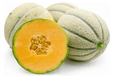 Melone Cantalupo Biologico