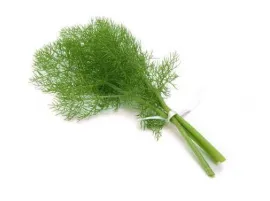 Finocchietto biologico 100gr