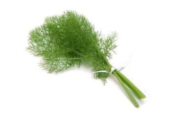 Finocchietto biologico 100gr