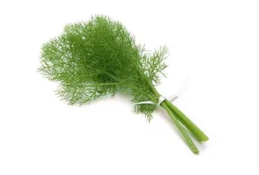 Finocchietto biologico 100gr