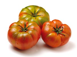 Pomodoro costoluto Bio