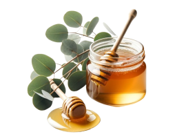 Miele di eucalipto bio