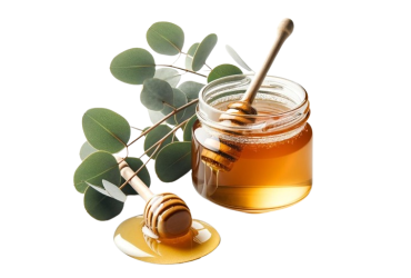 Miele di eucalipto bio