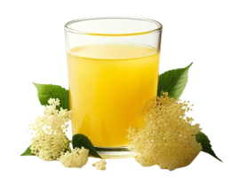 Spremuta di Fior di Sambuco e Mela Biologico