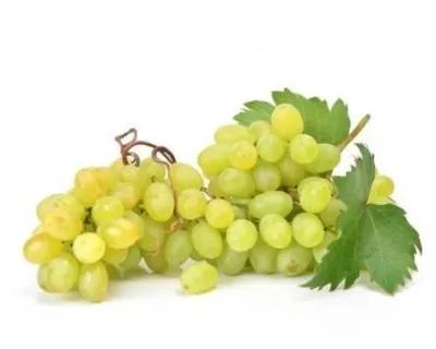 Uva SENZA SEMI Bianca Biologica