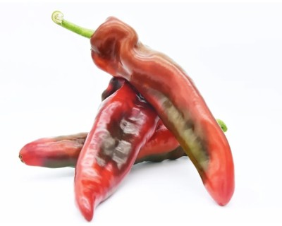Peperone Cornetto Variegato bio