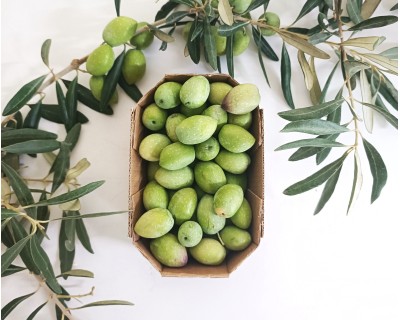 Olive Biologiche in Vendita Online - Olive Verdi Bio