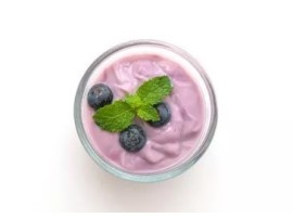 Yogurt ai mirtilli Bio