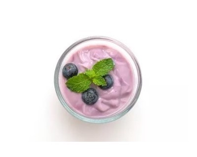Yogurt ai mirtilli Bio