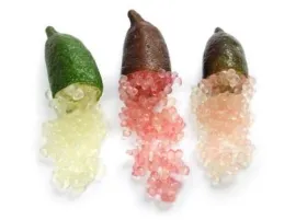 Limone Caviale Siciliano Biologico in Vendita Online | Paniere Bio