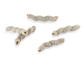 Vendita online Pasta BIOLOGICA Busiate Russello al Pistacchio