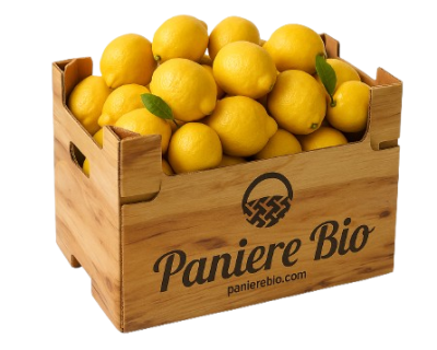 Vendita online limoni biologici