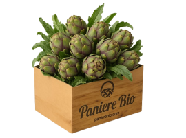 Vendita online carciofi biologici