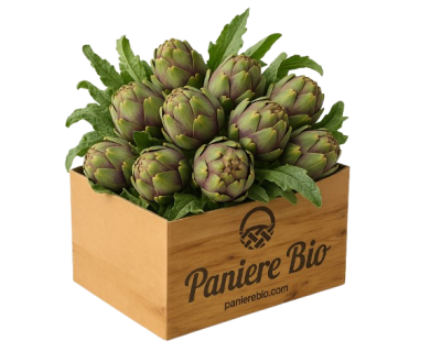 Vendita online carciofi biologici