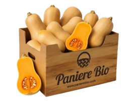 Vendita online Zucca Butternut Biologica