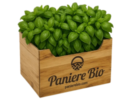 Cassetta di Basilico Fresco biologico