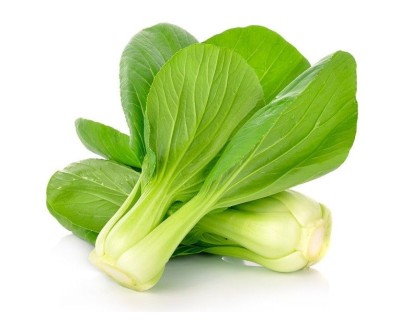 Pak Choi Siciliano Bio - Comprali Online su PaniereBio.com