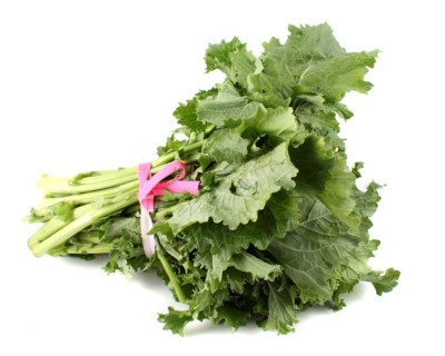 Broccolo Riccio di Sarno Biologico | Disponibile Online su Panierebio.com