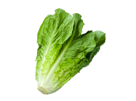 Lattuga Insalata Siciliana Bio - Acquistala ora su Panierebio.com