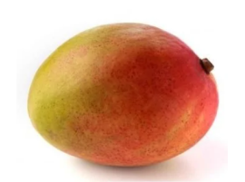 Mango Siciliano Biologico in Vendita Online | Paniere Bio