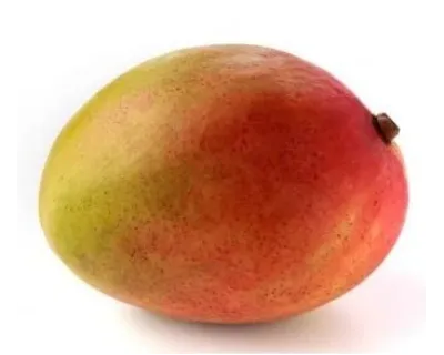 Mango Siciliano Biologico in Vendita Online | Paniere Bio