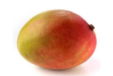 Mango Siciliano Biologico in Vendita Online | Paniere Bio