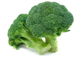 Broccolo biologico