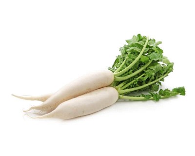 Daikon bio Daikon bio