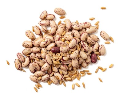 Zuppa di Garfagnina Bio - Spesa Online da PaniereBio