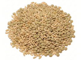 Zuppa di Orzo e Lenticchie Bio - Spesa Online da PaniereBio