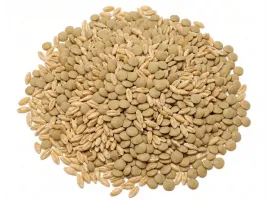 Zuppa di Orzo e Lenticchie Bio - Spesa Online da PaniereBio