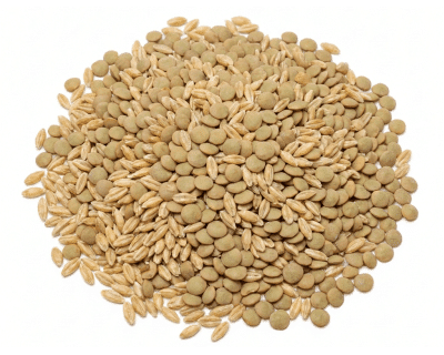 Zuppa di Orzo e Lenticchie Bio - Spesa Online da PaniereBio