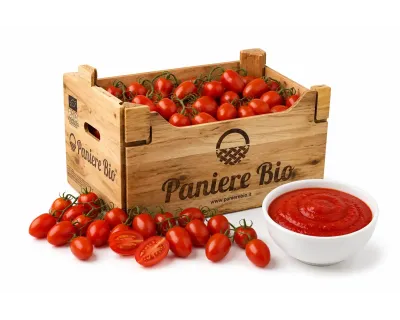 Pomodoro per Salsa Siciliano Bio Acquistabile Online - PaniereBio