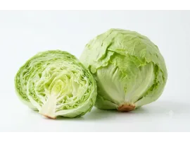 Lattuga Insalata Siciliana Bio - Acquistala ora su Panierebio.com
