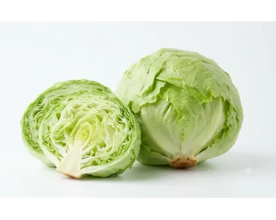 Lattuga Insalata Siciliana Bio - Acquistala ora su Panierebio.com