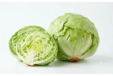 Lattuga Insalata Siciliana Bio - Acquistala ora su Panierebio.com
