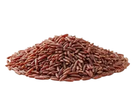 Riso Rosso integrale bio Vendita online