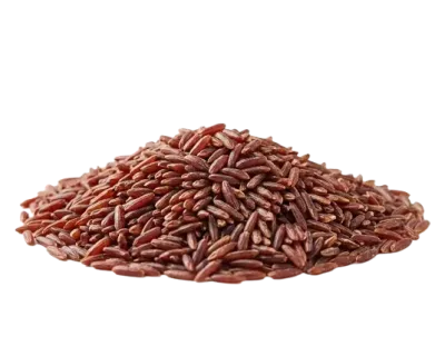 Riso Rosso integrale bio Vendita online