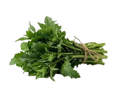 Cime di Rapa Bio in Vendita Online - Scopri lo Store PaniereBio