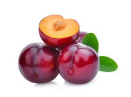 Susine Siciliane Bio | Le  Prugne più Dolci Online da Paniere Bio
